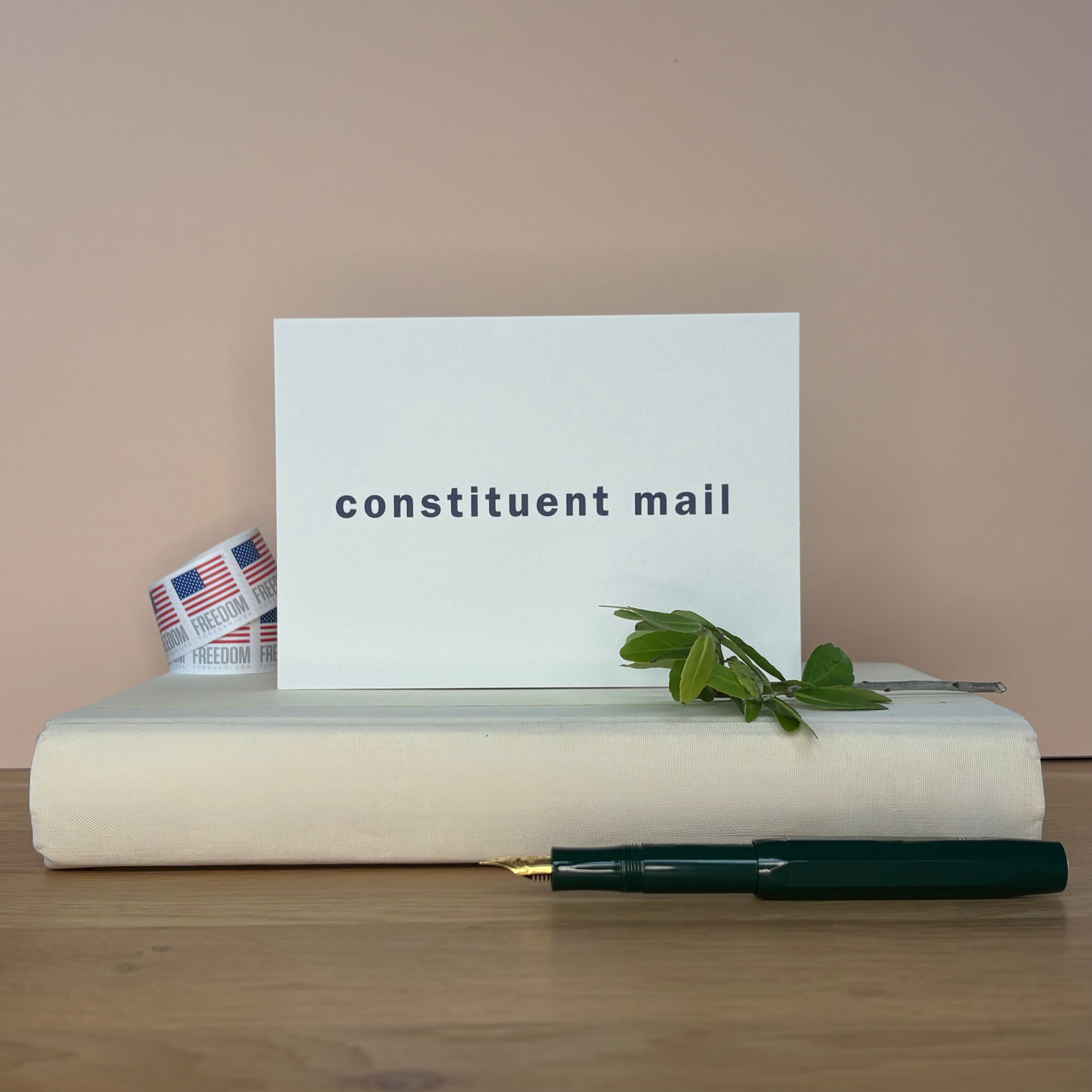 Constituent Mail Variety Pack